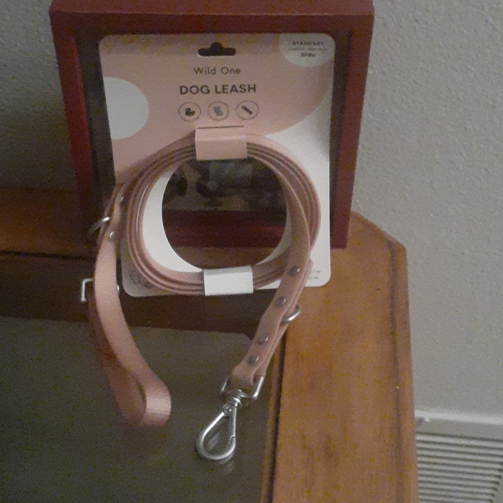 Dog leash